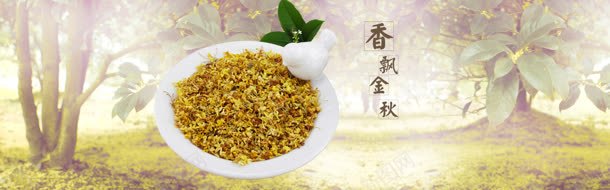 淘宝茶叶花茶清新树林背景bannerjpg设计背景_新图网 https://ixintu.com banner 树林 淘宝 清新 背景 花茶 茶叶
