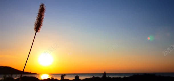 夕阳天空背景jpg设计背景_新图网 https://ixintu.com 夕阳 天空 植物