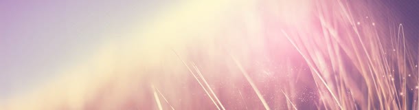 商务简约风格bannerjpg高清背景_新图网 https://ixintu.com 不规则 扁平式 梦幻 科技感 色彩 节日 酷炫