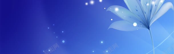 花朵星光横幅蓝色jpg设计背景_新图网 https://ixintu.com 星光 横幅 花朵 蓝色