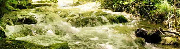 唯美风景细水长流banner壁纸jpg设计背景_新图网 https://ixintu.com 植物 溪水 素材 色彩 风景