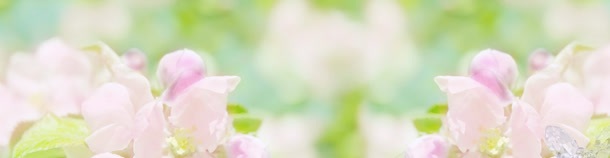 梦幻花季背景jpg设计背景_新图网 https://ixintu.com 化妆品 唯美风景图 女装 户外场景图 淘宝户外风景背景图 淘宝素材 男装 素材 背景素材 鞋子