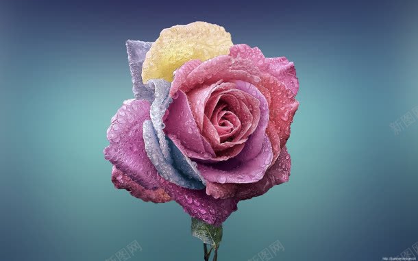 七彩花朵促销海报jpg设计背景_新图网 https://ixintu.com 七彩 促销 海报 花朵