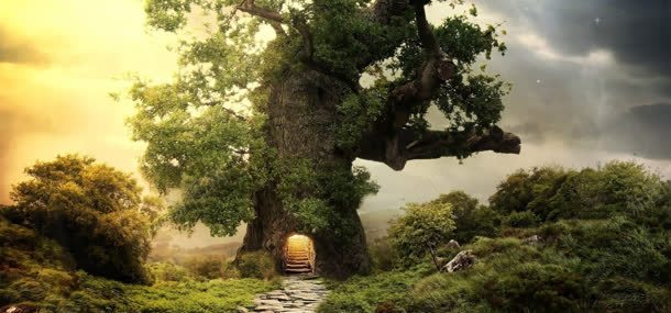 梦幻古树森树风景jpg设计背景_新图网 https://ixintu.com 古树 梦幻 森树