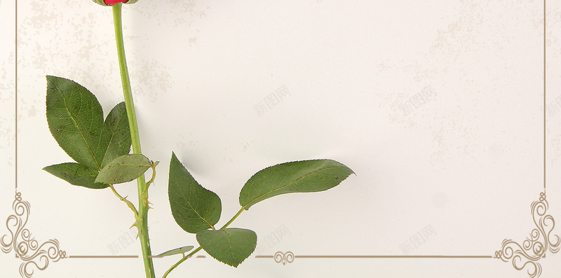 复古玫瑰花店情人节促销H5背景源文件psd高清背景_新图网 https://ixintu.com 七夕 七夕节 复古 情人节 情人节促销 爱情 玫瑰花 简约 红玫瑰 红玫瑰花边 红色 花瓣 表白 边框 鲜花店