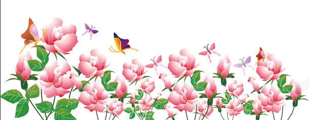 精美花卉植物banner背景jpg设计背景_新图网 https://ixintu.com 玫瑰花 蝴蝶