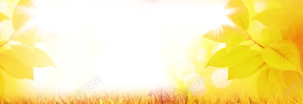 秋季上市淘宝banner广告jpg设计背景_新图网 https://ixintu.com 店铺 标签 活动 秋装 素材 金秋