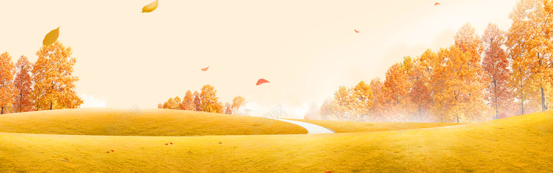 清新淡雅秋季金秋促销bannerpsd设计背景_新图网 https://ixintu.com 促销banner 十月金秋促销 文艺 枫叶 淡雅 清新 秋天服装促销 秋季 秋季上新