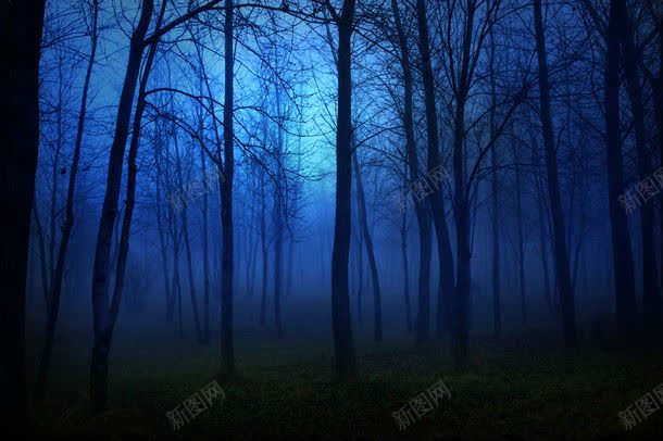 自然风光摄影jpg_新图网 https://ixintu.com 图片素材 天空 底纹背景 摄影素材 景区 景观 树木 树林 背景花边 自然风光摄影图片 自然风光摄影图片素材下载