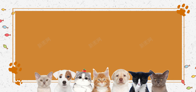 萌宠来袭可爱黄色简约bannerjpg设计背景_新图网 https://ixintu.com 可爱 宠物 狗狗 猫咪 简约 萌宠 萌宠来袭 黄色