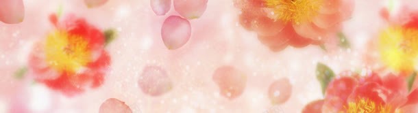 唯美花瓣淘宝女装bannerjpg设计背景_新图网 https://ixintu.com 唯美 素材 色彩 鲜花