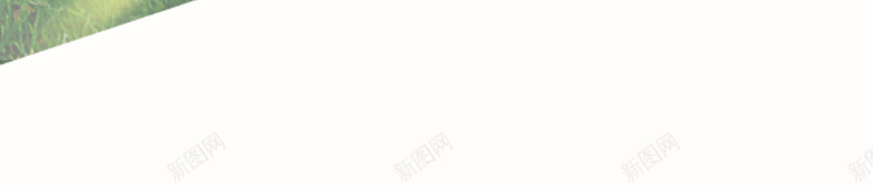 捧花海报背景psd设计背景_新图网 https://ixintu.com 一束花 捧花海报背景 摄影 花朵 风景