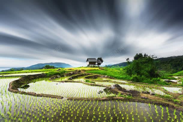 乌云下的绿草地麦苗jpg高清背景_新图网 https://ixintu.com 乌云 草地 麦苗