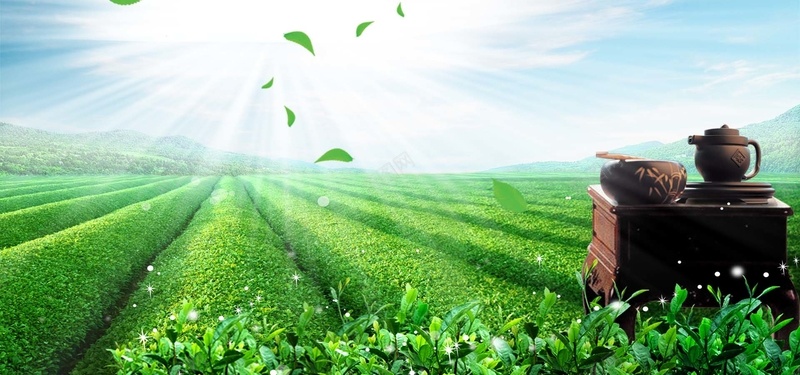 茶园品茶psd_新图网 https://ixintu.com 摄影 海报banner 茶园品茶 茶庄 风景