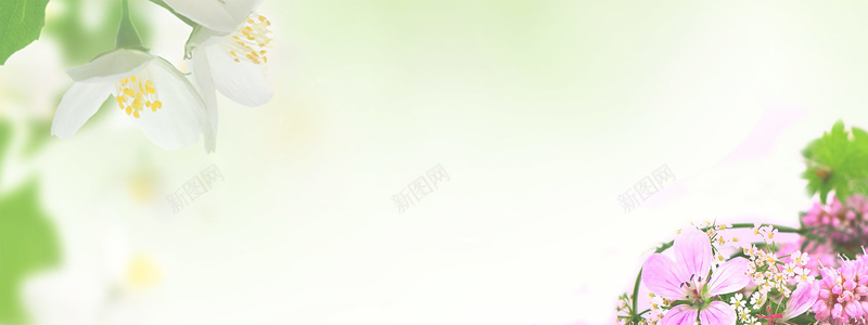 清新花朵背景psd设计背景_新图网 https://ixintu.com 其他 单页 妇女 婚纱 床上用品 底纹 底纹边框 海报banner 片 神奇 神秘 紫色 紫色背景 紫色背景图 紫色背景模板下载 紫色背景素材下载 绚丽 美丽 背景 背景底纹