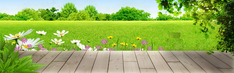 绿色草地背景psd_新图网 https://ixintu.com 地板 摄影 海报banner 绿色 草地 风景 鲜花