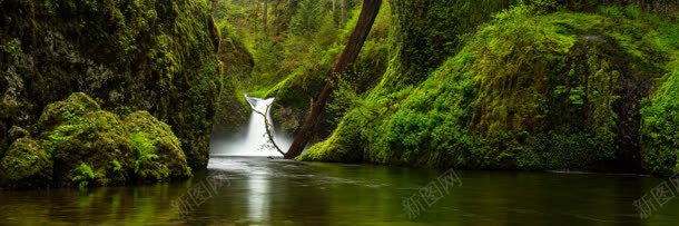 湖水植物森林原始jpg设计背景_新图网 https://ixintu.com 原始 森林 植物 湖水