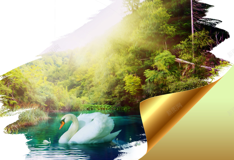 自然清新美景天鹅摄影背景psd_新图网 https://ixintu.com 天鹅 天鹅素材 摄影 清新 清新背景 美景 背景素材 自然 自然美景