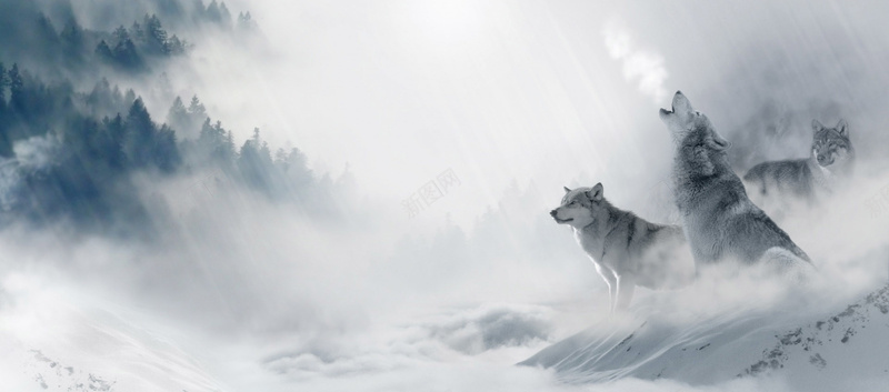 中国风山水群狼背景bannerjpg设计背景_新图网 https://ixintu.com 中国风 大气 山水 水墨 海报banner 群狼