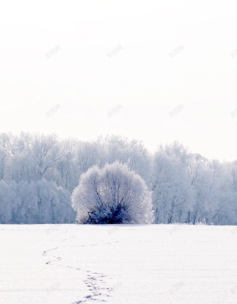 脚印冬季雪景H5背景图jpg设计背景_新图网 https://ixintu.com H5背景图 下雪 冬天 冬季背景 冬季雪景 素材图 脚印 雪景 风景