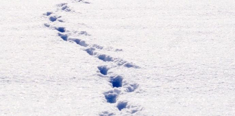 脚印冬季雪景H5背景图jpg设计背景_新图网 https://ixintu.com H5背景图 下雪 冬天 冬季背景 冬季雪景 素材图 脚印 雪景 风景