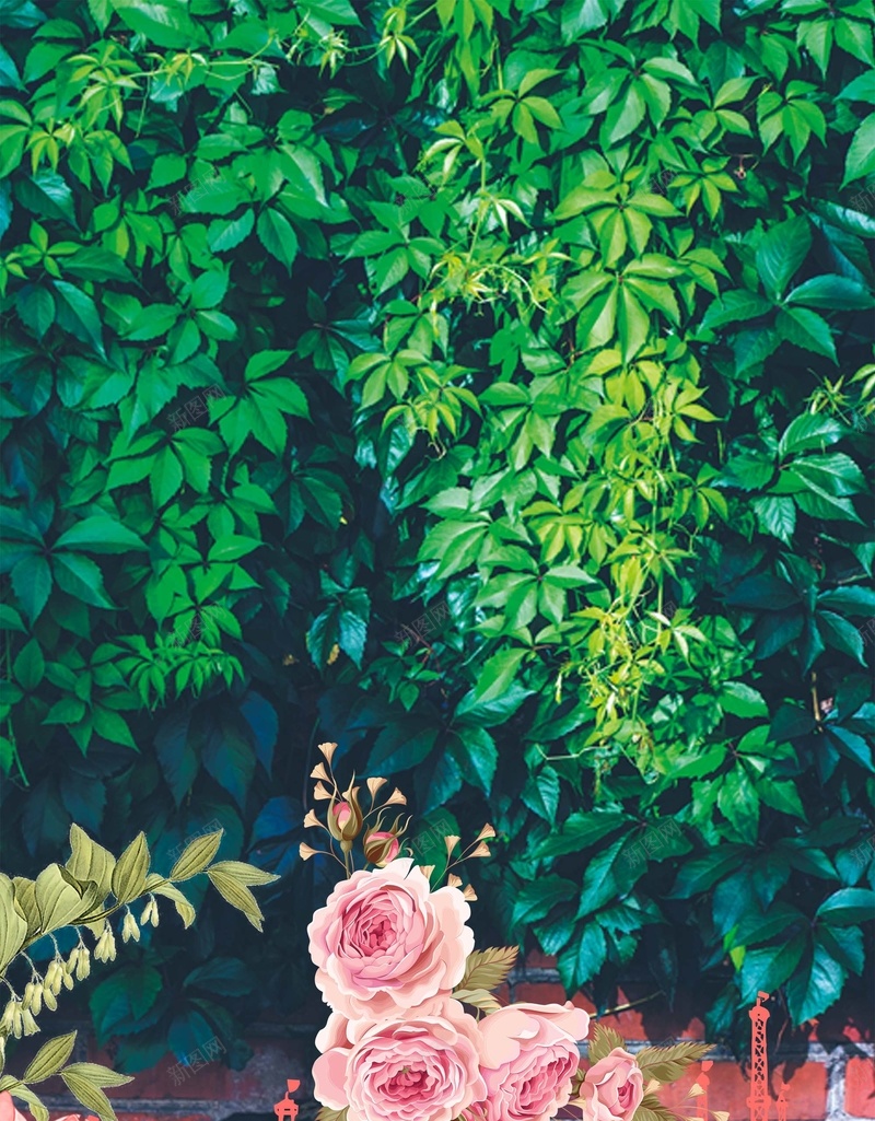 户外绿叶爬山虎粉色花朵砖墙背景psd设计背景_新图网 https://ixintu.com 户外 海报 爬山虎 砖墙 粉色 绿叶 背景 花朵