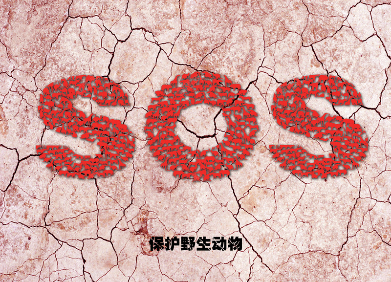 地裂效果SOS保护动物背景psd设计背景_新图网 https://ixintu.com sos 主题海报 保护野生动物 公益海报 公益海报背景 地裂效果 宣传背景 担忧 拯救活动