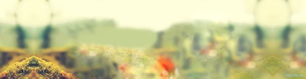 花草背景jpg设计背景_新图网 https://ixintu.com 图片 背景 花草