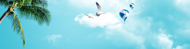 门户网站banner创意jpg设计背景_新图网 https://ixintu.com 椰树 海报 海鸥 风景