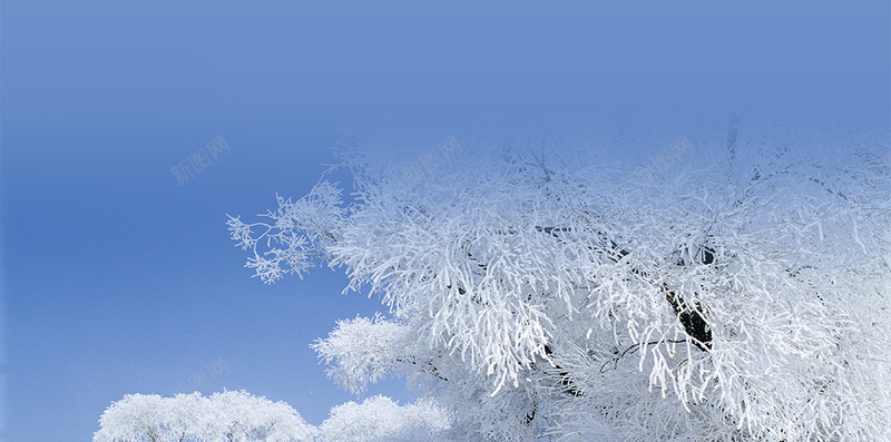 大寒二十四节气背景psd_新图网 https://ixintu.com 二十四节气 大寒 摄影 蓝色 雪山 风景