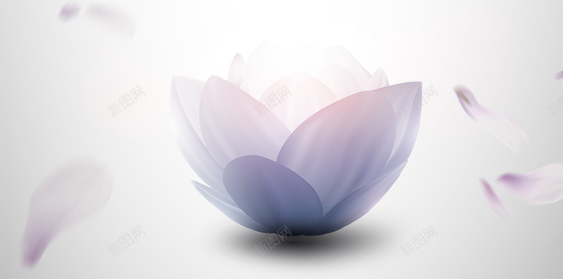 中国风梦幻H5背景psd源文件psd设计背景_新图网 https://ixintu.com H5背景 h5 psd素材 中国风 文字背景 梦幻 毛笔字 白色 花瓣 荷花