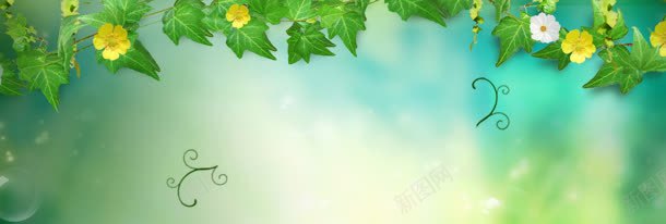 清爽简约淘宝背景jpg设计背景_新图网 https://ixintu.com 淘宝 淘宝banner 淘宝广告