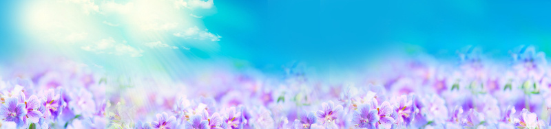梦幻花海海报背景psd设计背景_新图网 https://ixintu.com 光线 喜庆背景 图片素材 天猫 天猫背景 广告背景 时尚 梦幻 浪漫 海报banner 海报背景 淘宝 淘宝背景 清新 温馨 温馨背景 炫彩 玫瑰花 绚丽 绚丽背景 花卉 花朵 花朵背景