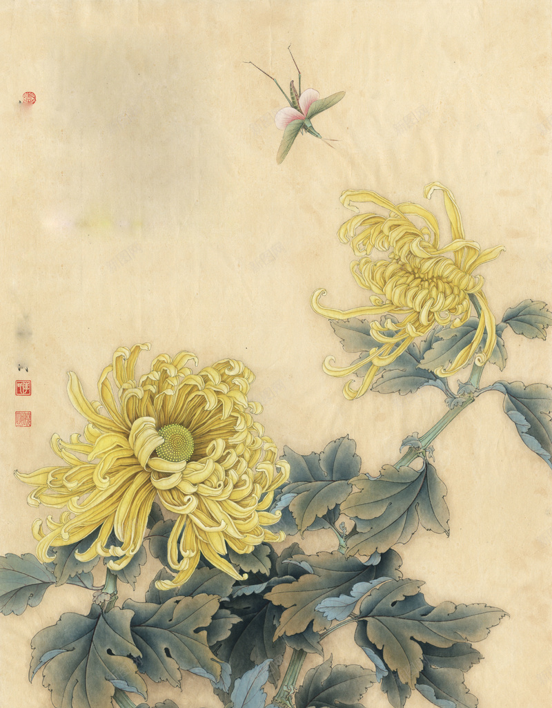 中国风菊花工笔画海报背景psd设计背景_新图网 https://ixintu.com 中国风 复古 工笔画 怀旧 海报 背景 艺术 菊花