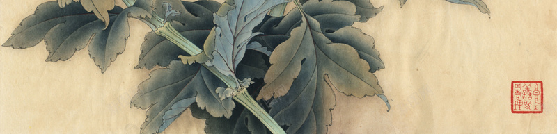 中国风菊花工笔画海报背景psd设计背景_新图网 https://ixintu.com 中国风 复古 工笔画 怀旧 海报 背景 艺术 菊花