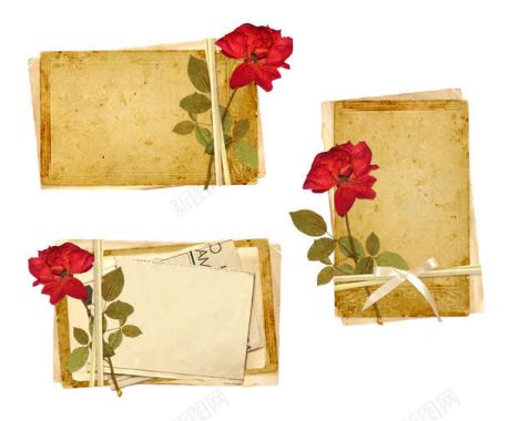 玫瑰花与怀旧纸张背景