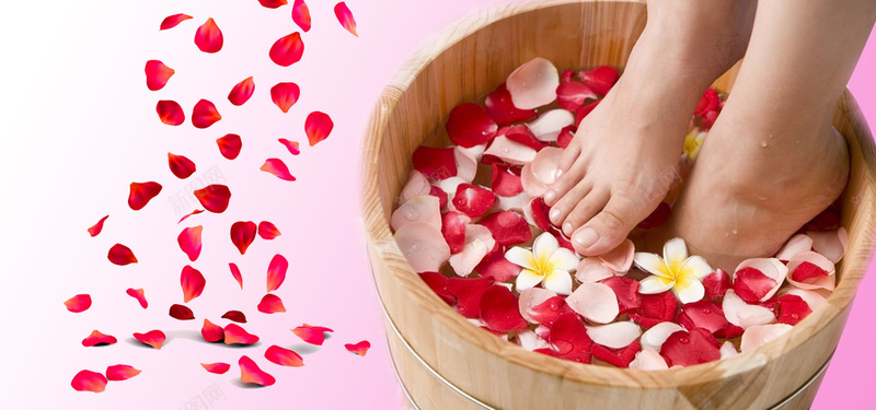 足浴花瓣背景banner