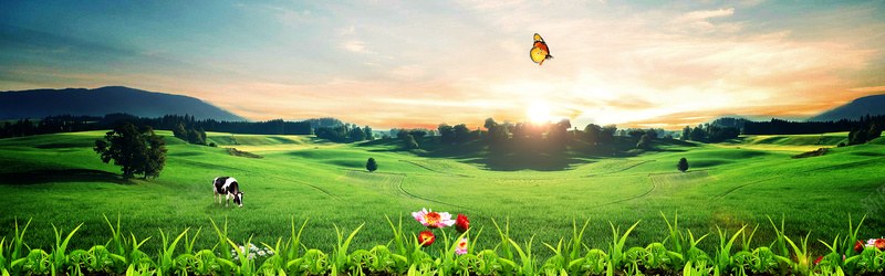 绿色草原背景jpg设计背景_新图网 https://ixintu.com 化妆品背景 奶牛 海报banner 牛奶背景 绿色 草原