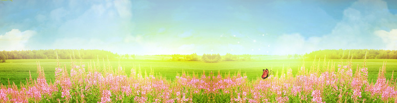 梦幻草丛花海psd设计背景_新图网 https://ixintu.com 海报banner