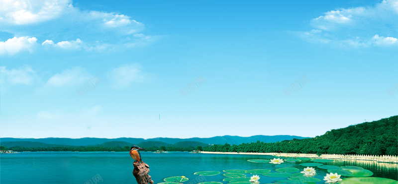 湖泊背景psd_新图网 https://ixintu.com banner 夏天 天猫 山峰 店招 摄影 条幅 横幅 池塘 海报banner 淘宝 湖泊 竹子荷花荷叶满池塘 背景 荷叶 荷花 蓝色 风景