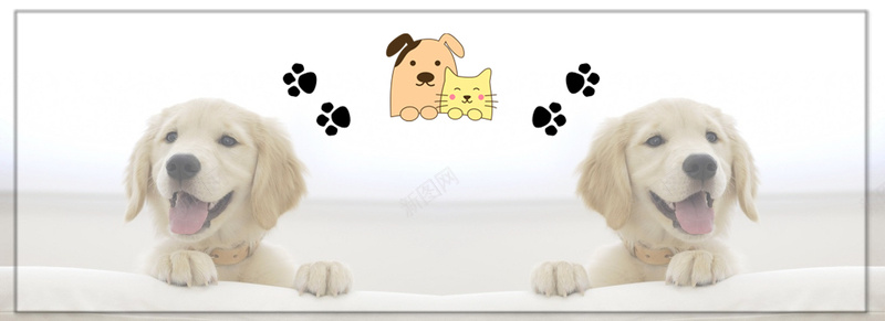 宠物美容背景Bannerpsd设计背景_新图网 https://ixintu.com 可爱 宠物健康 宠物医疗 宠物护理 宠物美容 开心 清新 温暖 狗 简约