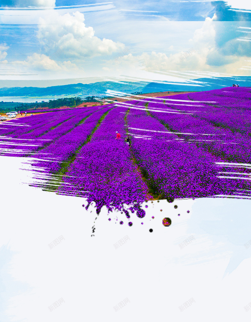 紫色小清新薰衣草PSD分层H5背景psd_新图网 https://ixintu.com H5 PSD分层 小清新 旅游 普罗旺斯 梦幻 浪漫 紫色 背景素材 薰衣草 薰衣草田 风景摄影