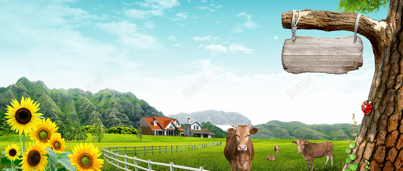 户外牧场背景banner装饰psd设计背景_新图网 https://ixintu.com 向日葵 奶牛 山脉 户外 房屋 海报banner 清新的空气 牧场 背景banner装饰