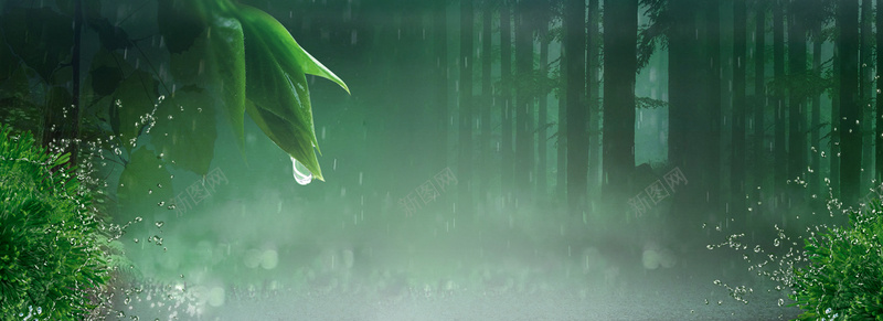 化妆品背景psd设计背景_新图网 https://ixintu.com 化妆品背景 水滴 海报banner 深林 滋润 绿色 补水
