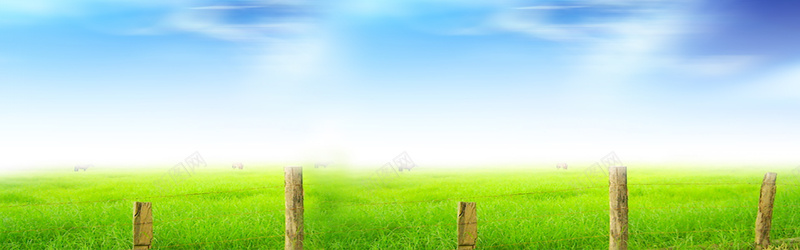草原背景psd_新图网 https://ixintu.com 摄影 海报banner 牛羊 草原 草地 风景