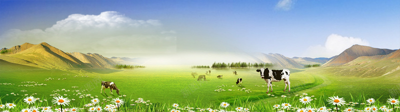 蓝天草地banner背景psd_新图网 https://ixintu.com 山川 摄影 海报banner 牛 绿地 草地 蓝天 风景