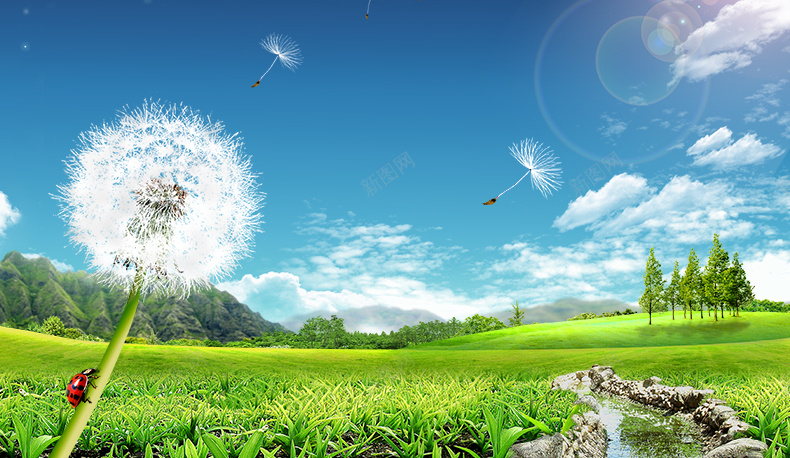 蒲公英风景海报背景psd设计背景_新图网 https://ixintu.com 摄影 白云 草坪 蒲公英 蓝天 详情页海报 阳光 风景