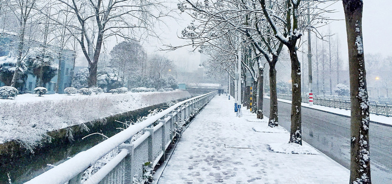 风景冬日街景背景jpg_新图网 https://ixintu.com 下雪 冬日 摄影 树木 海报banner 街景 街道 风景