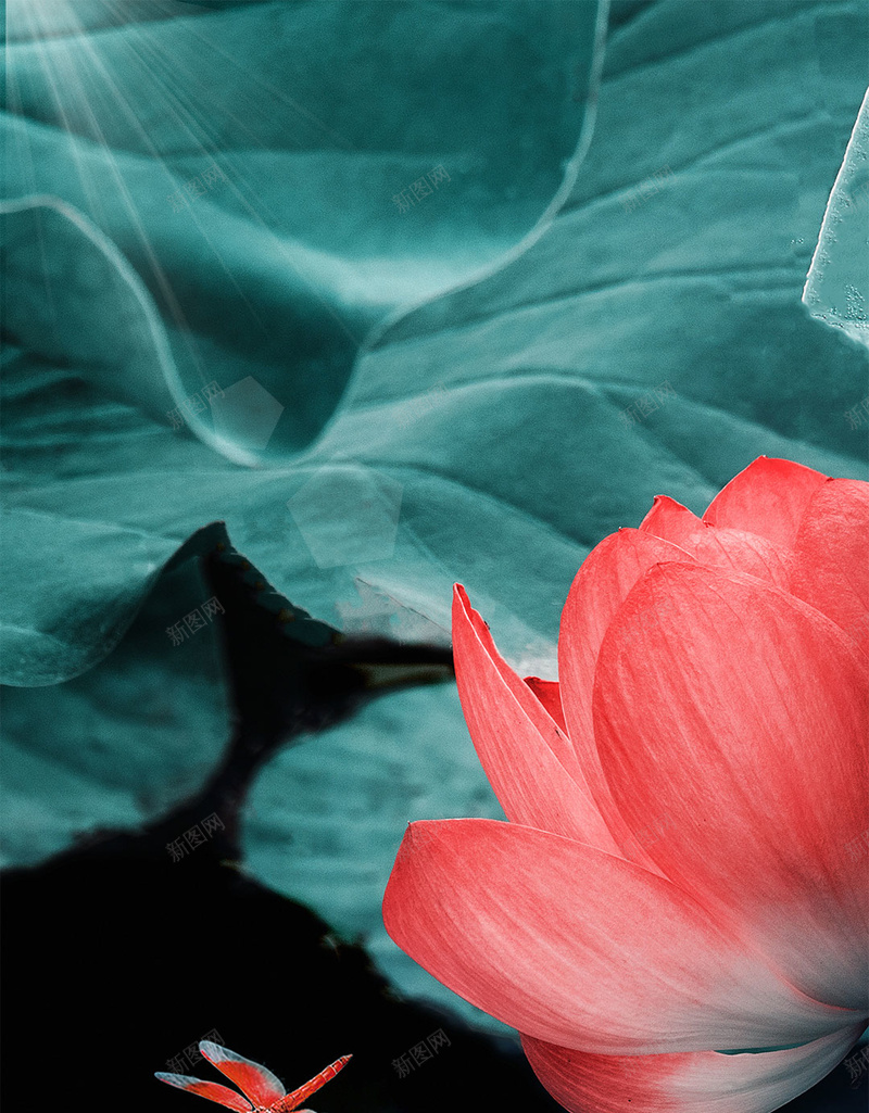 唯美荷塘荷花处暑节气psd设计背景_新图网 https://ixintu.com 24节气 二十四节气 夏天 夏日 盛夏 节气 荷塘 荷塘月色 荷花 莲花 高清荷花图安素材