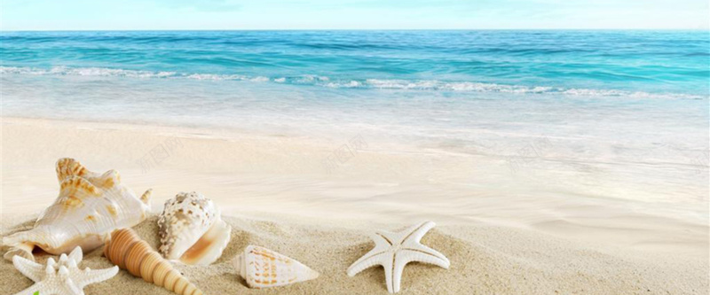 夏日海滩风景旅游bannerjpg_新图网 https://ixintu.com banner 化妆品 壁纸 夏日 摄影 旅游 海星 海浪 海滩 海螺 清爽 风景